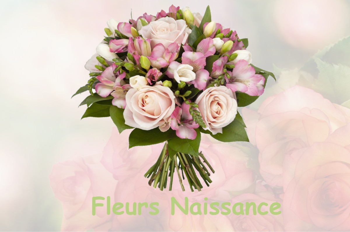 fleurs naissance LA-ROCHE-NOIRE